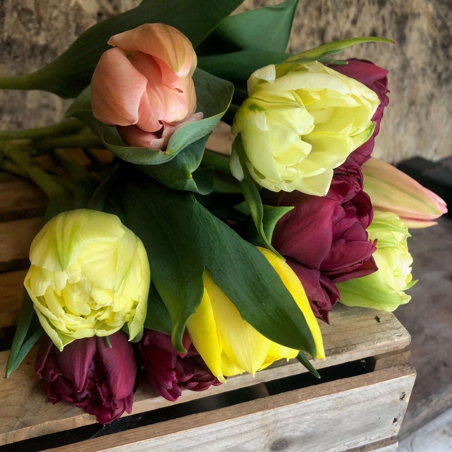 tulips