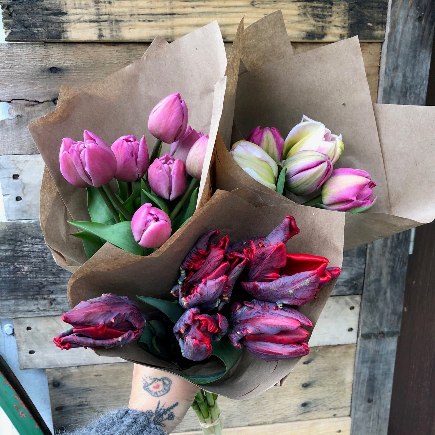 tulips