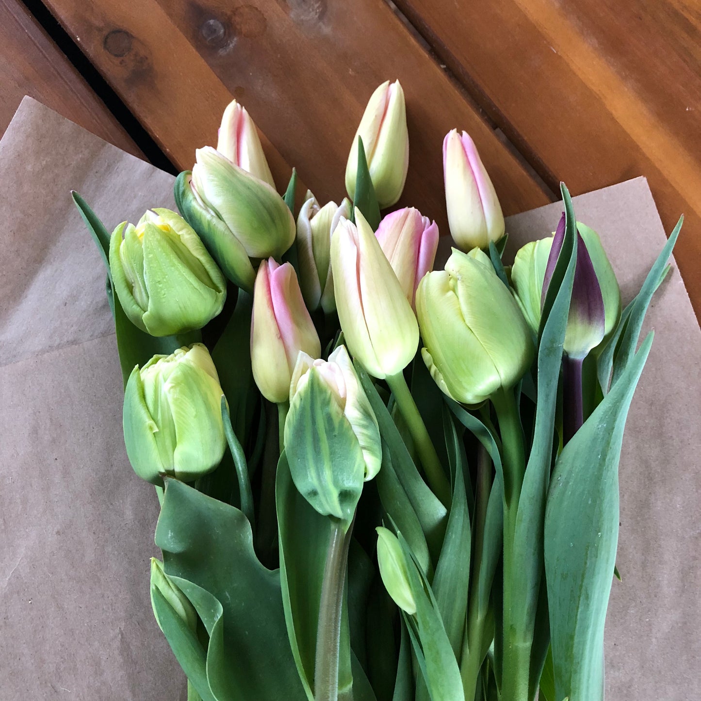 Tulip Bunch