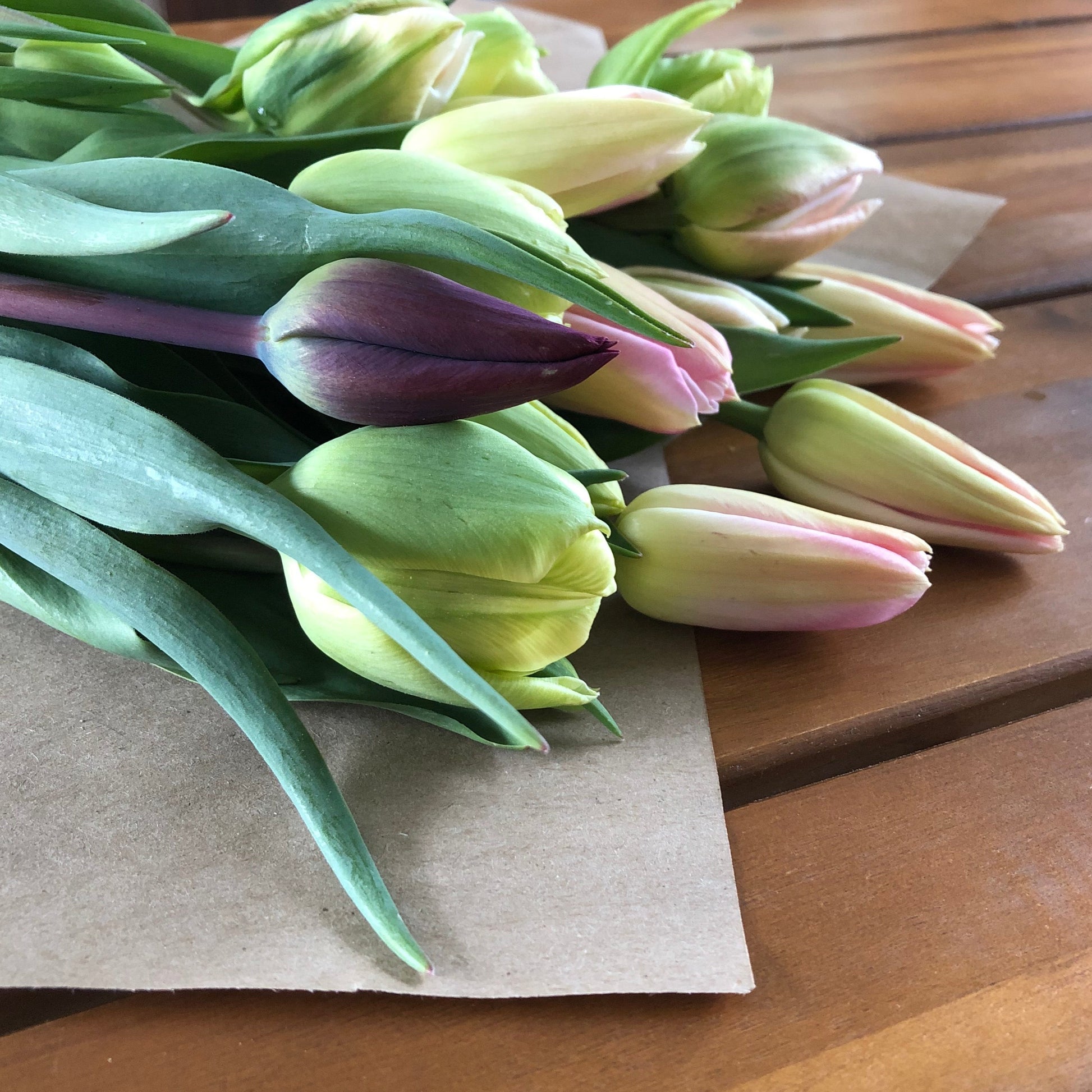 Tulip Bunch