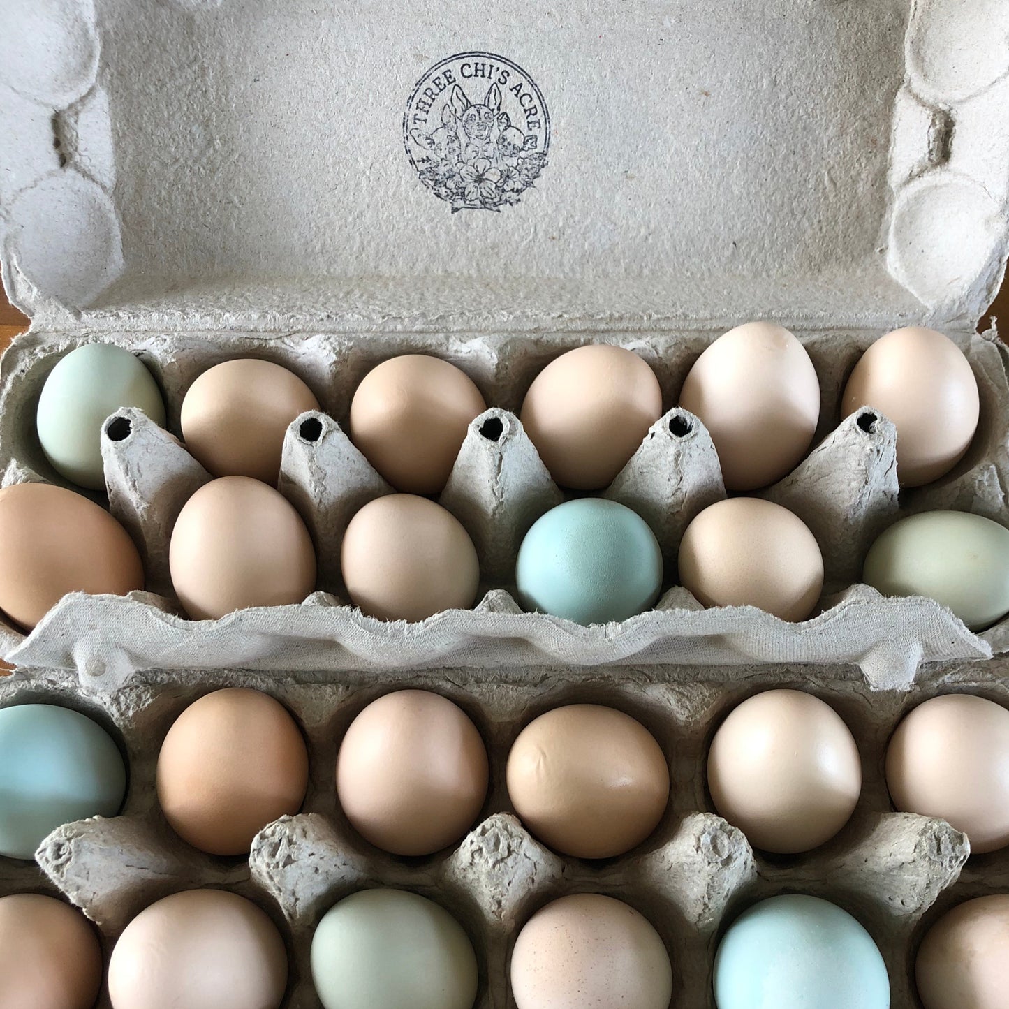 Farm Fresh Eggs | Three Chi's Acre